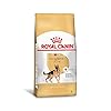 Ração Dogue Alemão Royal Canin Raças Grandes Filhotes