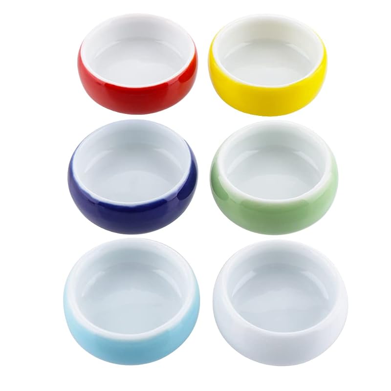 Tigelas de cerâmica para terrário com base plana DQITJ, pacote com 6
