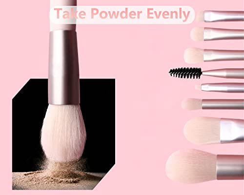 DFsucces Professional Makeup Brushes Set,Portable Make Up Brushes,8Pcs Make Up Brushes Set including Eyeshadow/Eyebrow/Powder/Cosmetic Brush and Cosmetic Bag,Mini Size Makeup Brusher - Image 4