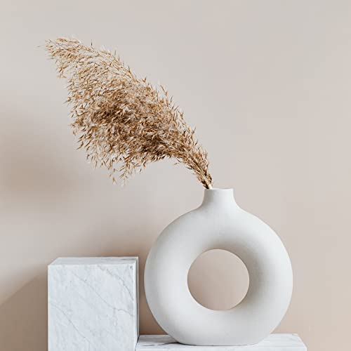 30 PCS Boho Decor, Fluffy Pompas Grass, Natural Dry Pampas Grass Small, Short Pampass Bulk for Boho Room, Coffee Table Decor (17 inch ) by Kocat - Image 5