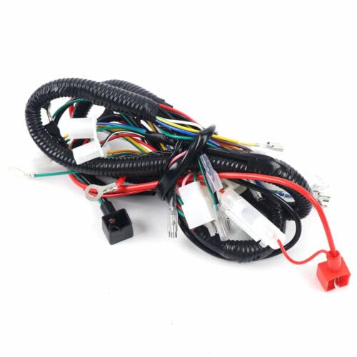 Per ATV QUAD 150/250/300CC cablaggio elettrico completo Cablaggio CDI
