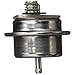 Delphi FP10049 Fuel Pressure Regulator, 2 mounting Holes