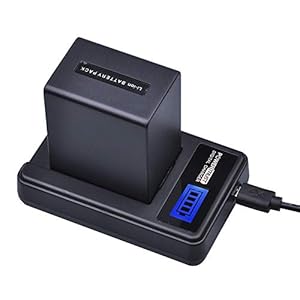 PowerTrust 1Pc 4500mAh NP-FV100 NPFV100 FV100 Akku + LCD USB Ladegerät für Sony NP-FV30 NP-FV50 NP-FV70 SX83E SX63E FDR-AX100E