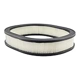 Baldwin PA2076 Oblong Air Element