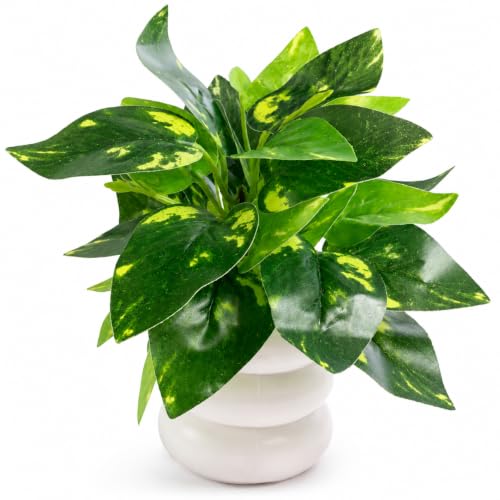 Best Artificial Hanging Plants for Your Home 8 SHASHYA Golden Pothos Artificial Money Plant with White Pot | Rea...
