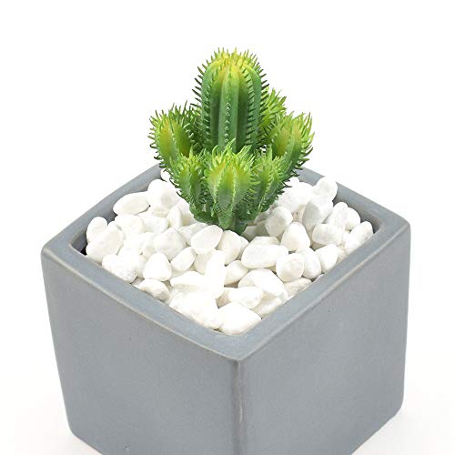 Image of WAYBER 2 Lb /920g White Stones Decorative Pebble Rock Sand for Aquarium /Fish Turtle Tank /Vase Filler /Succulent Plants Decoration (Fill 2 Cups)