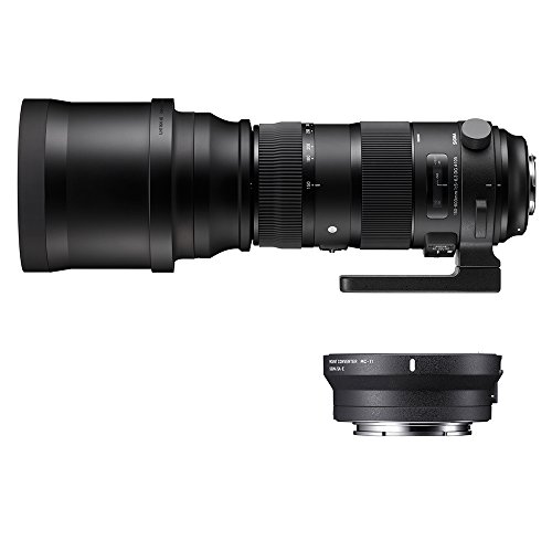 Sigma 740954_89E965 - Kit 150-600 mm F5-6.3 Sport EOS + MC-11, Color Negro