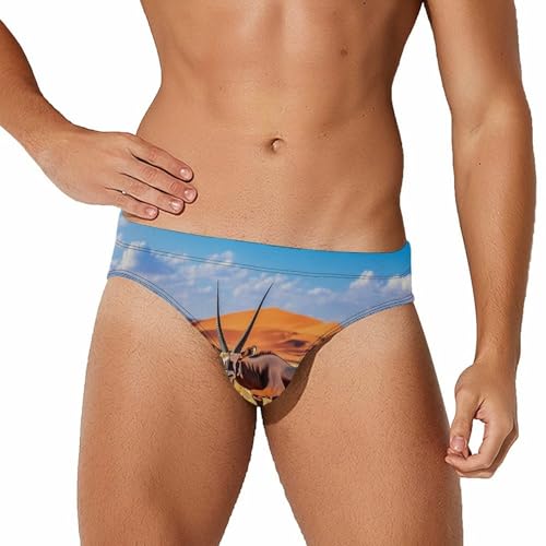 Oryx in The Red Dunes Men's Swim Brief Sexy Bikini Swimwear Swimsuit Trunks Bathing Suits