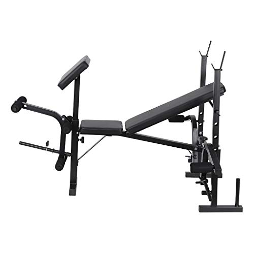 Weight Benches Adjustable Ab Bench Rack Set Fitness Dumbbell Workout Bench Standard Weight Training Benches (Black)