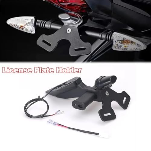 Support de plaque à queue courte rigide pour Street Triple 675 R et 765