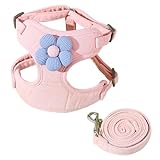 Hundegeschirr und Leine, verstellbar, für kleine Hunde, kein Ziehen, atmungsaktiv, weiches...