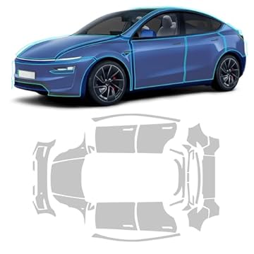 best paint protection for tesla model y