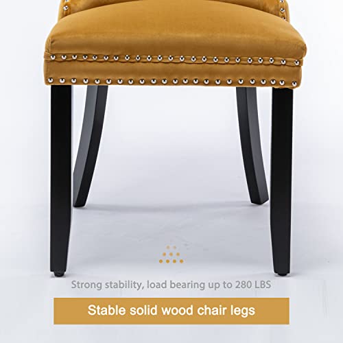 Image of Virabit Velvet Dining Chairs Set of 2, Tufted Upholstered Dining Chairs with Nailhead Back and Ring Pull Trim, Solid Wood Dining Chairs for Kitchen /Bedroom /Dining Room (Gold)