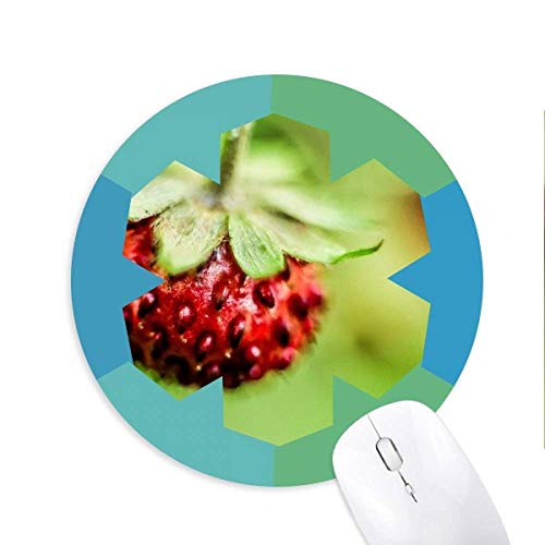 VNȃx[摜Rʐ^ ~`S̐}EXpbh