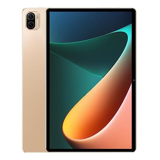 Tomshin Tablet 8GB + 256GB Tela de 10,1 polegadas 5G Chamando Proces or MT6797 de 10 núcleos 128GB de memória expansível Grande capacidade de armazenamento 1960 * 1080 Tela grande de alta clareza BT5.