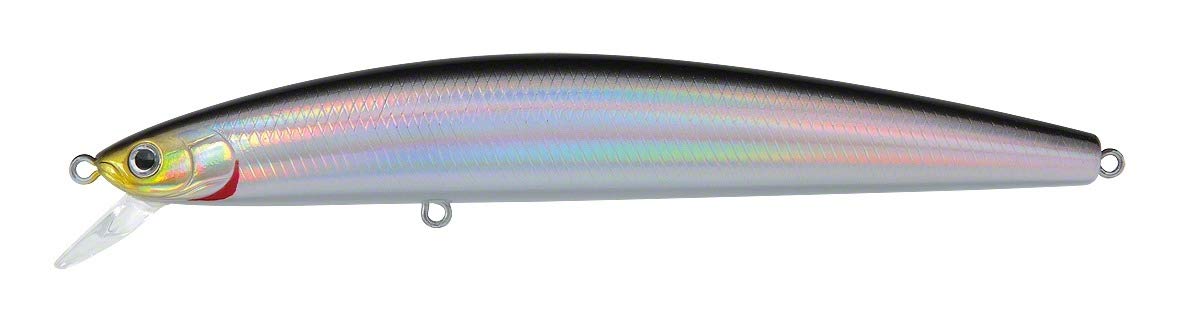 Daiwa DSPM13F03 Salt Pro Laser Sardine Minnow Lures, 5-1/8