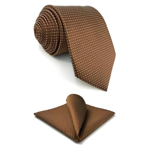 Cravate S&W SHLAX&WING Cuivre Marron Cover