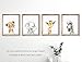 Confetti Fox Safari Animals Nursery Pictures Wall Decor - 8x10 Unframed Set of 4 Art Prints - Leopard Elephant Zebra Giraffe - Baby Boy Girl Zoo Jungle Watercolor Artwork