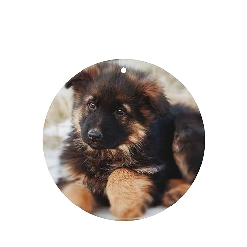 W[}VFp[hps[ ԗpF p[\iCYꂽXCX J[A}Zs[^ubg ݂艺F܃J[h [vt 4 ԂƂ̑p