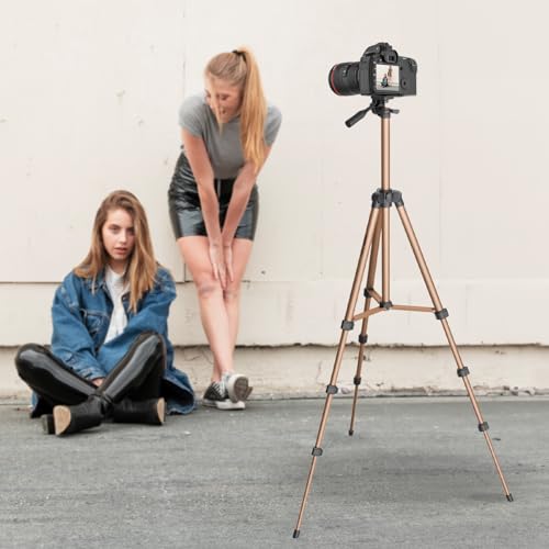AMAZONBASICS Lightweight 41-134cm Tripod with Mobile Holder & Carry Bag | for All Camera/Go pro/Smartphones| Copper 8 41m1MqFv3uL