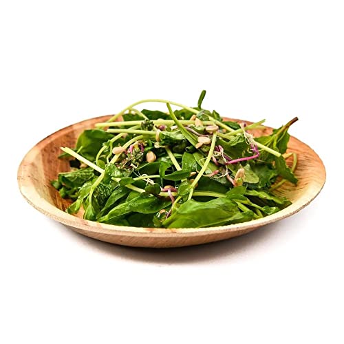 Ben & Jane Premium Disposable Areca Leaf Plates - Decorative Compostable Tableware For Lunch, Dinner, Birthday, Camping, Outdoor, Bbq, Picnic, Parties (7 Inch, Round Bowl) #TOP2