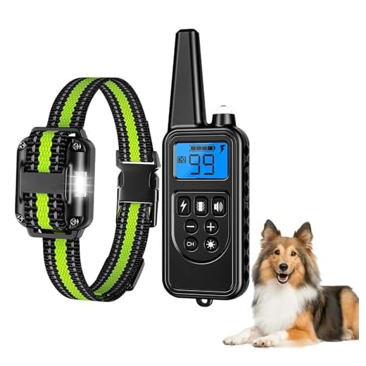 Vielseitiges Hundetrainingsspielzeug für alle Hunde