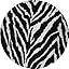 Black White Zebra