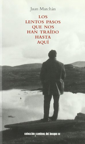 Los lentos pasos que nos han traído hasta aquí