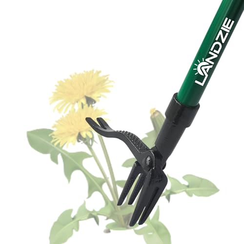 Landzie Weed Puller Tool