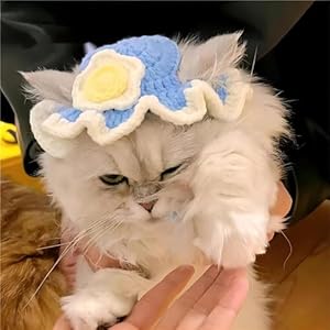 MITOCAPY Handgefertigtes Katzenkostüm mit Spiegelei-Hut