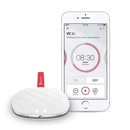 Find The Best Alarm Clocks For Deaf Reviews & Comparison Katynel