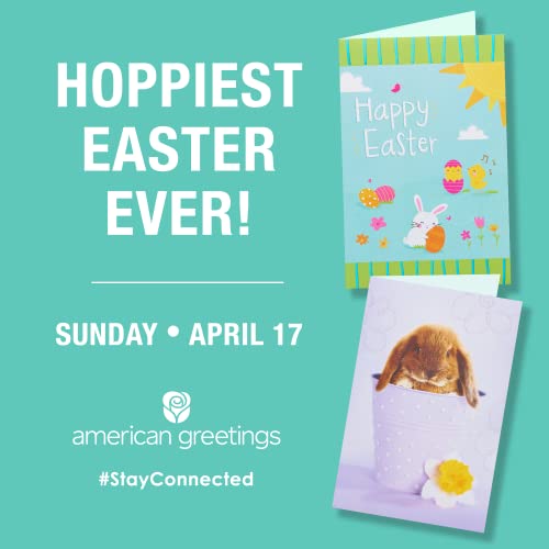 American Greetings 6864651 36-Count Dessert Plates, Easter Party Supplies thumb #4