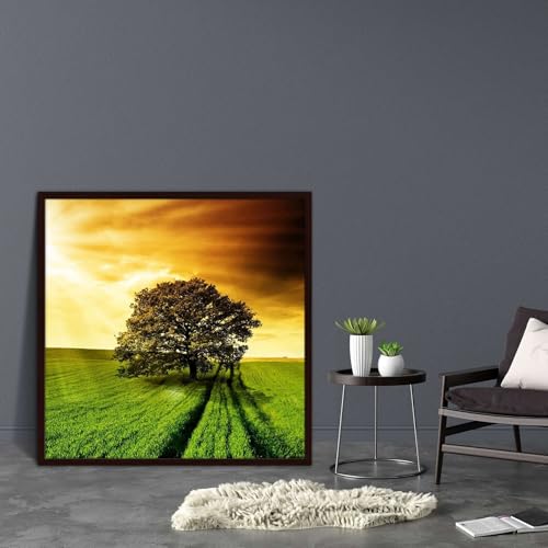Image of ArtzFolio Lonely Tree | Canvas Painting for Bedroom & Living Room | Dark Brown Frame | 20 x 20 inch (51 x 51 cms)