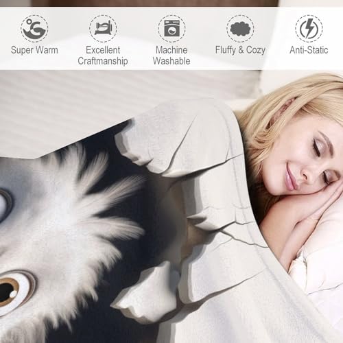 Couverture motif oiseau impression 3D en flannel de qualité supérieure pour lit et canapé