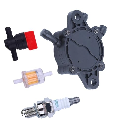 Kit filtre à carburant et bougie pour moteurs modèles 808492 et 808656