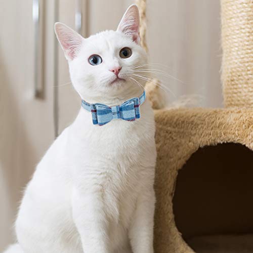 EXPAWLORER Stickerei Hundehalsband mit Leine - Verstellbarer Hundehalsband und Leine Set, weicher schöner Hundehalsband mit Tuch und Schleife, modernes Design ideal für Katzen und Hunde, Blau S