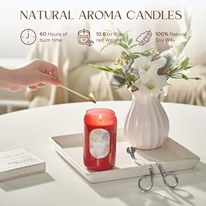 Msensestrongredsoyscentedcandleredcamelliaflowerscent106oz60hourburnsweetstressreliefcandlesgiftforbirthdaymotherdaylovers Urban Country Home Decor Msense strong red soy scented candle red camellia flower scent 106 oz 60 hour burnsweet stress relief candles gift for birthdaymother daylovers urban country home decor