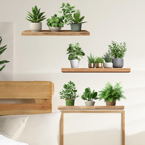 Image of Green Plants Wall Stickers 3D Bonsai Tropical Betterfly Creative Vinyl Peel and Stick Removable Wall Art for Living Room Bedroom Home Office (Green Plant 6)