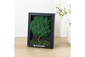 100% Natural Moss Wall Decor: Your Air-Purifying Haven