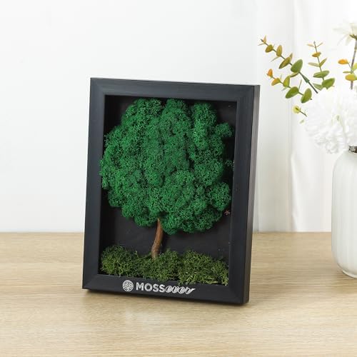 Mossever Eco-Friendly Moss Decor