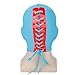 Mexican Wrestler Costume Adult Men Cape with Mask Crazy Priest Red Long Cloak Halloween Party Cosplay Outfits (XX-Large)