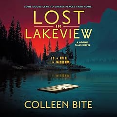 Lost in Lakeview Audiolibro Por Colleen Bite arte de portada