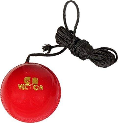 Forgesy Hanging Cricket Ball - Durable Leather Practice Ball with Adjustable Rope for Batting Training, Swing Practice, and Skill Enhancement-picture-0