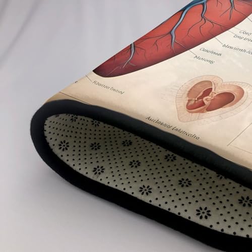 Tapis de sol antidérapant de qualité supérieure à cœurs 160cm - 7