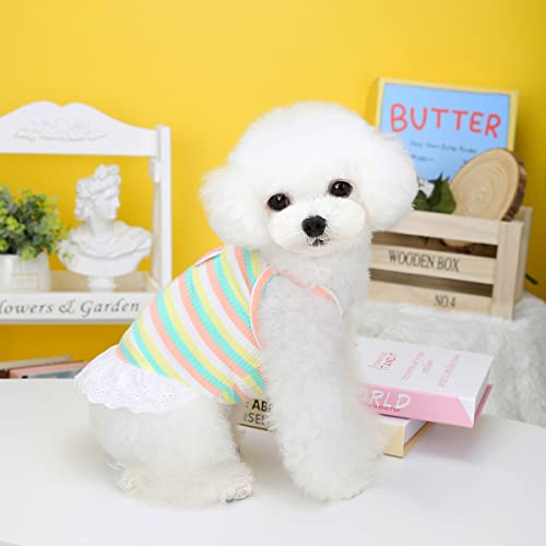 Loyanyy 2Pack Dog Vest Dress For Summer Cooling Cat Shirt Beach Puppy Kitten Skirts Cute Dog Apparel Blue Green Medium #TOP4