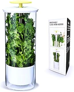 Premium Herb Keeper and Herb Storage Container – Extra Large Glass Design Keeps