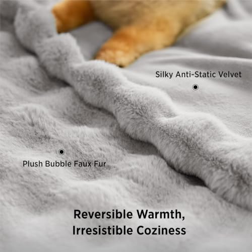 Image of Bedsure Fluffy Bubble Faux Fur Queen Blanket, 90 inchx90 inch, Light Grey