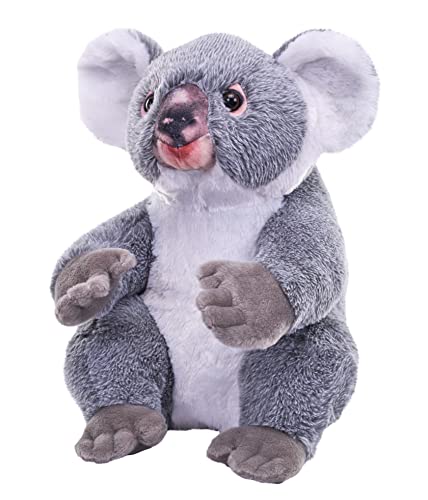 Peluche koala 38 cm en bouteilles recyclées Wild Republic