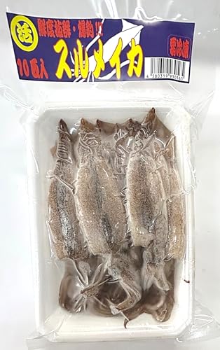 【釣りえさ】冷凍スルメイカ 10匹入り 釣りえさ用小型スルメイカ