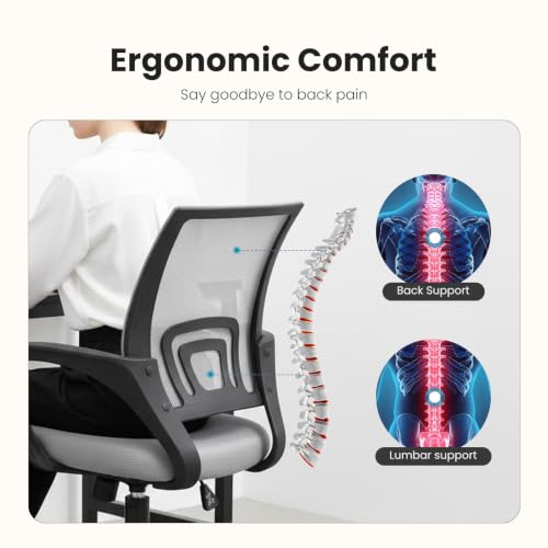 Image of DUMOS Ergonomic Office Chair, Mid-Back Executive Desk Chair 2 Pack